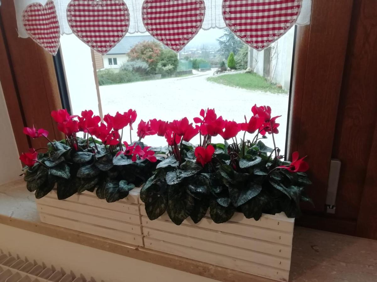 B&B La Casa Di Loretta Paderno エクステリア 写真