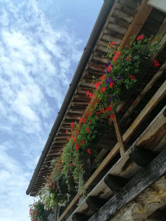 B&B La Casa Di Loretta Paderno エクステリア 写真