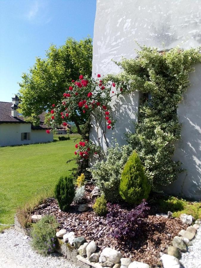 B&B La Casa Di Loretta Paderno エクステリア 写真